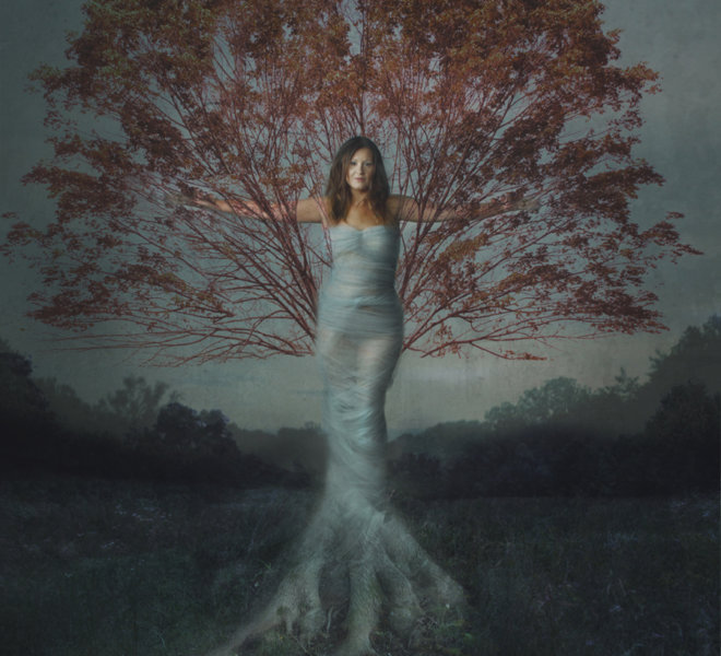 Dryad-Final-web