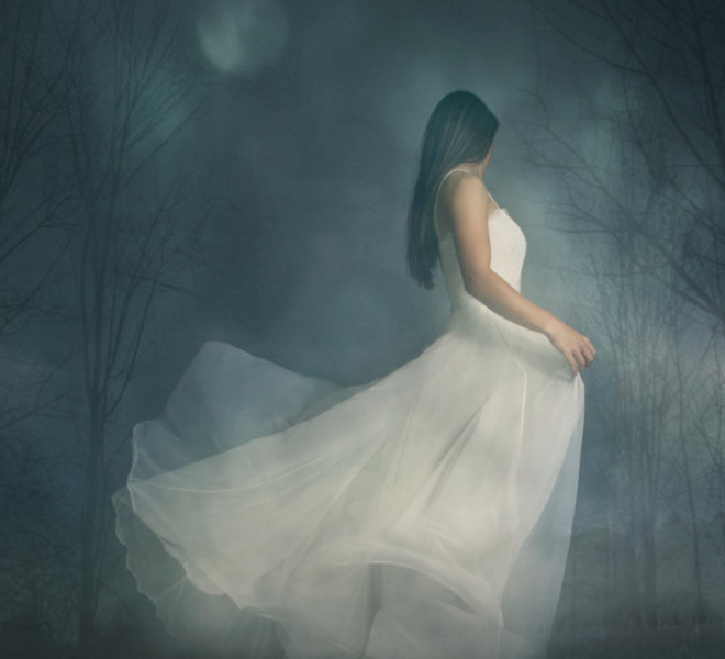 Night Dance - original-option4-forest
