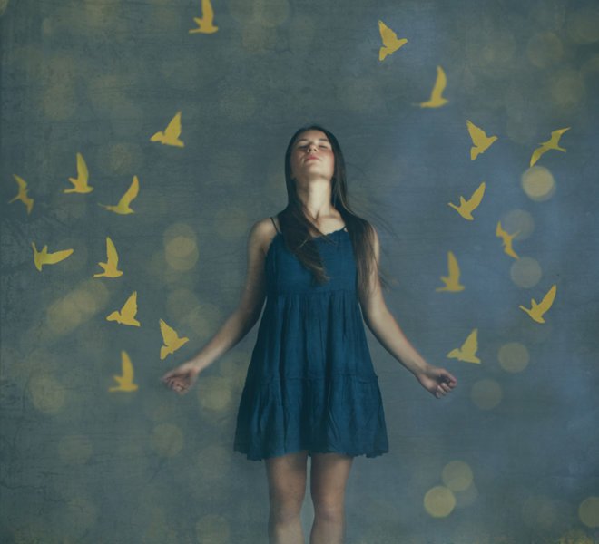 Yellow Birds-web